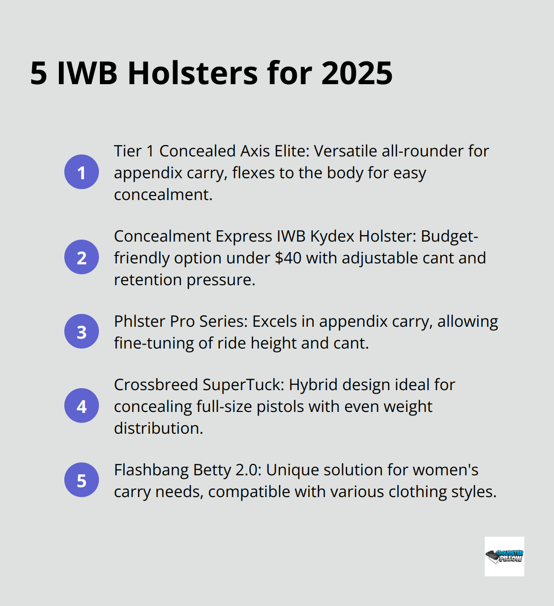 An ordered list chart showing the top 5 IWB holsters for 2025: Tier 1 Concealed Axis Elite, Concealment Express IWB Kydex Holster, Phlster Pro Series, Crossbreed SuperTuck, and Flashbang Betty 2.0.